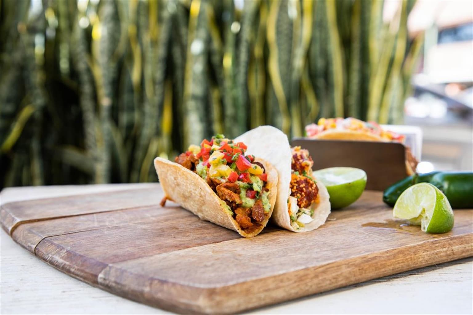 Spitfire Tacos - La Jolla