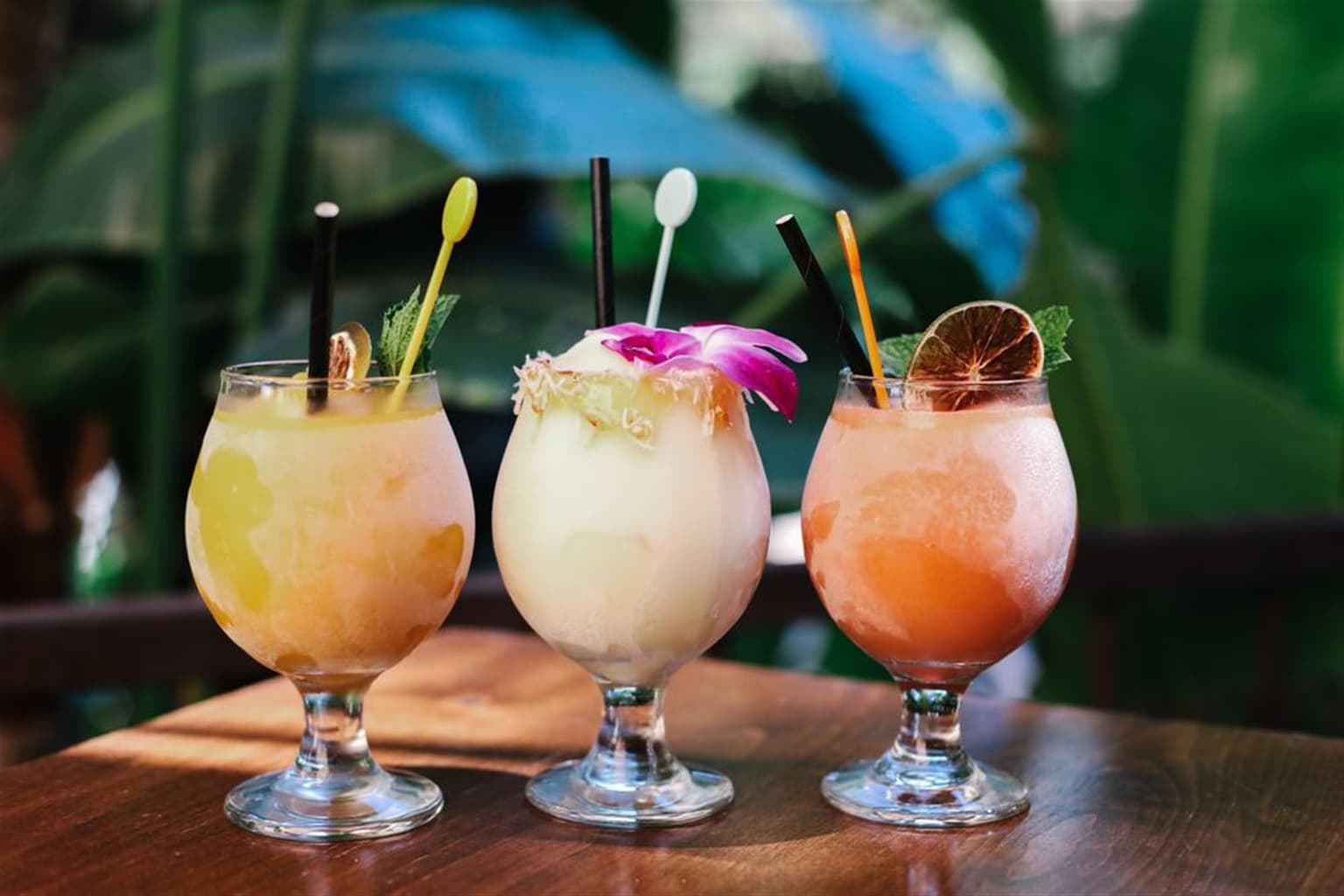 Habana- Irvine Spectrum