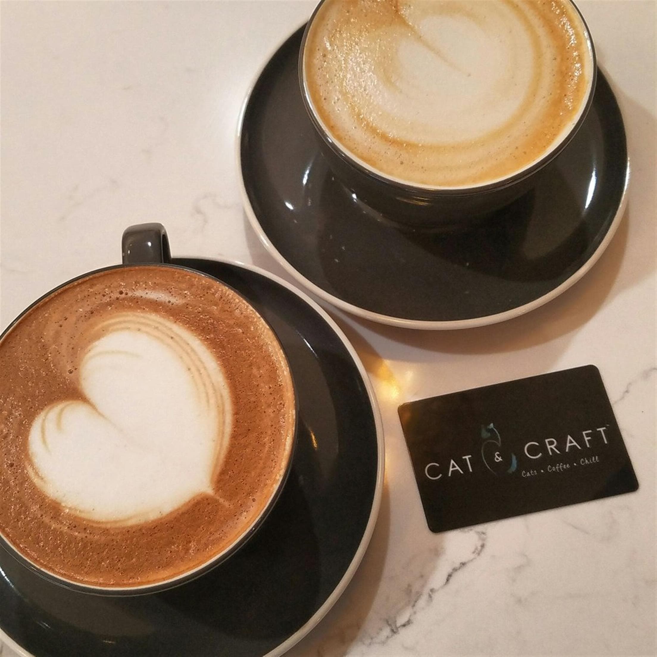 Cat & Craft