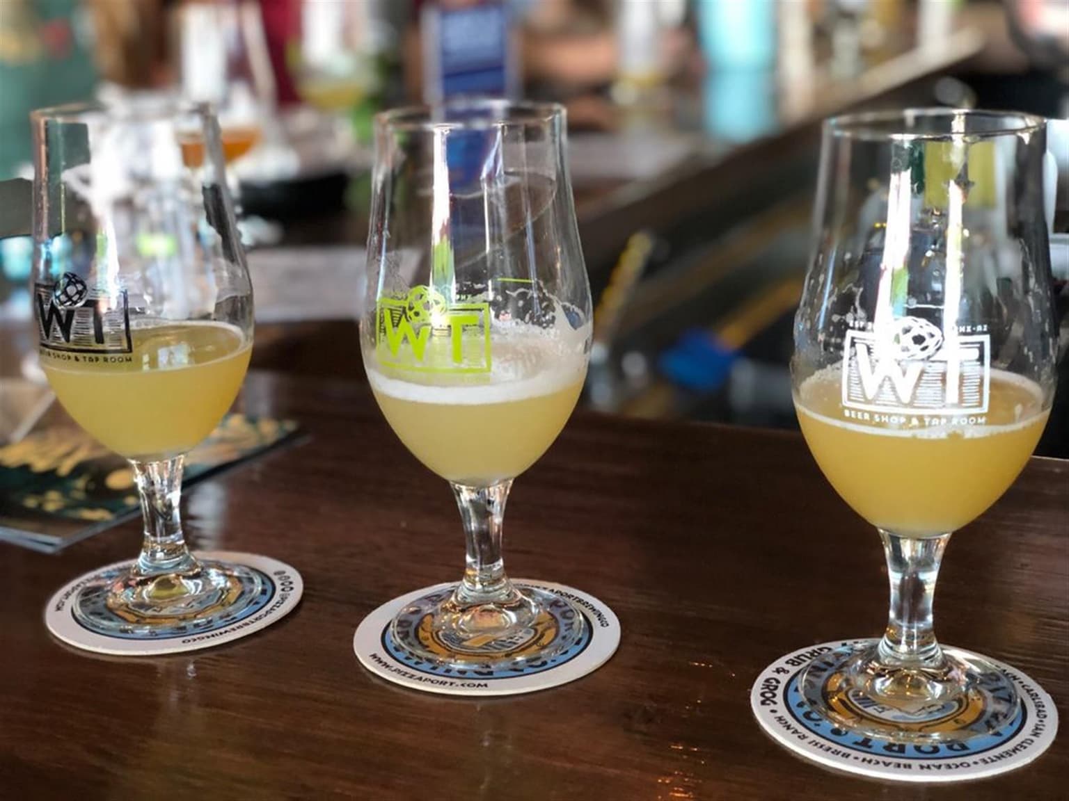 The Wandering Tortoise