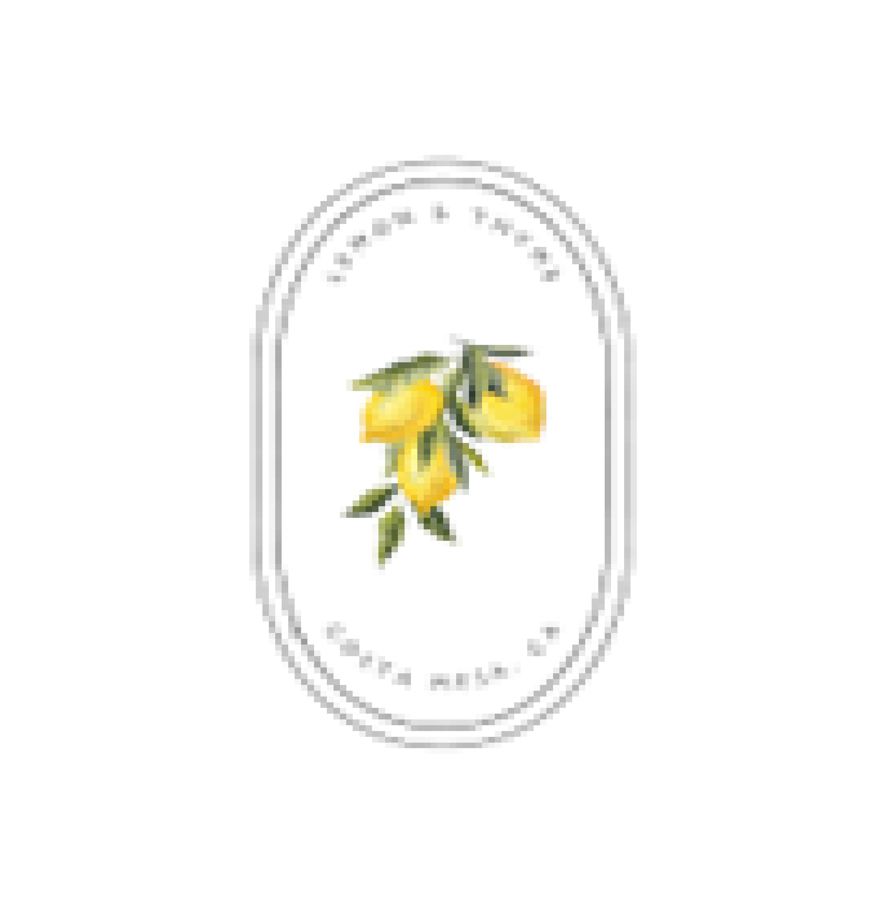 Lemon & Thyme Avatar