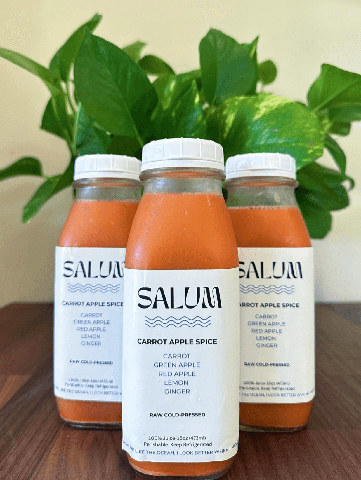 Salum Juice Bar & Cafe