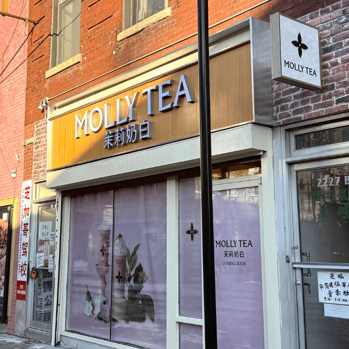 Molly Tea Avatar