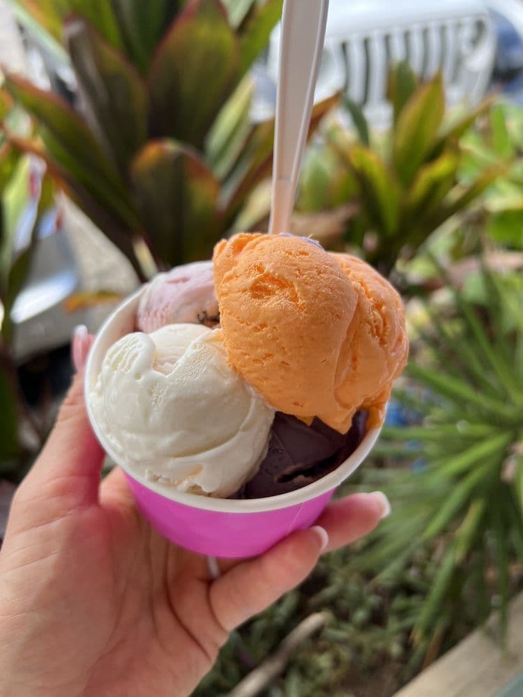 Pink's Ice Cream Shop