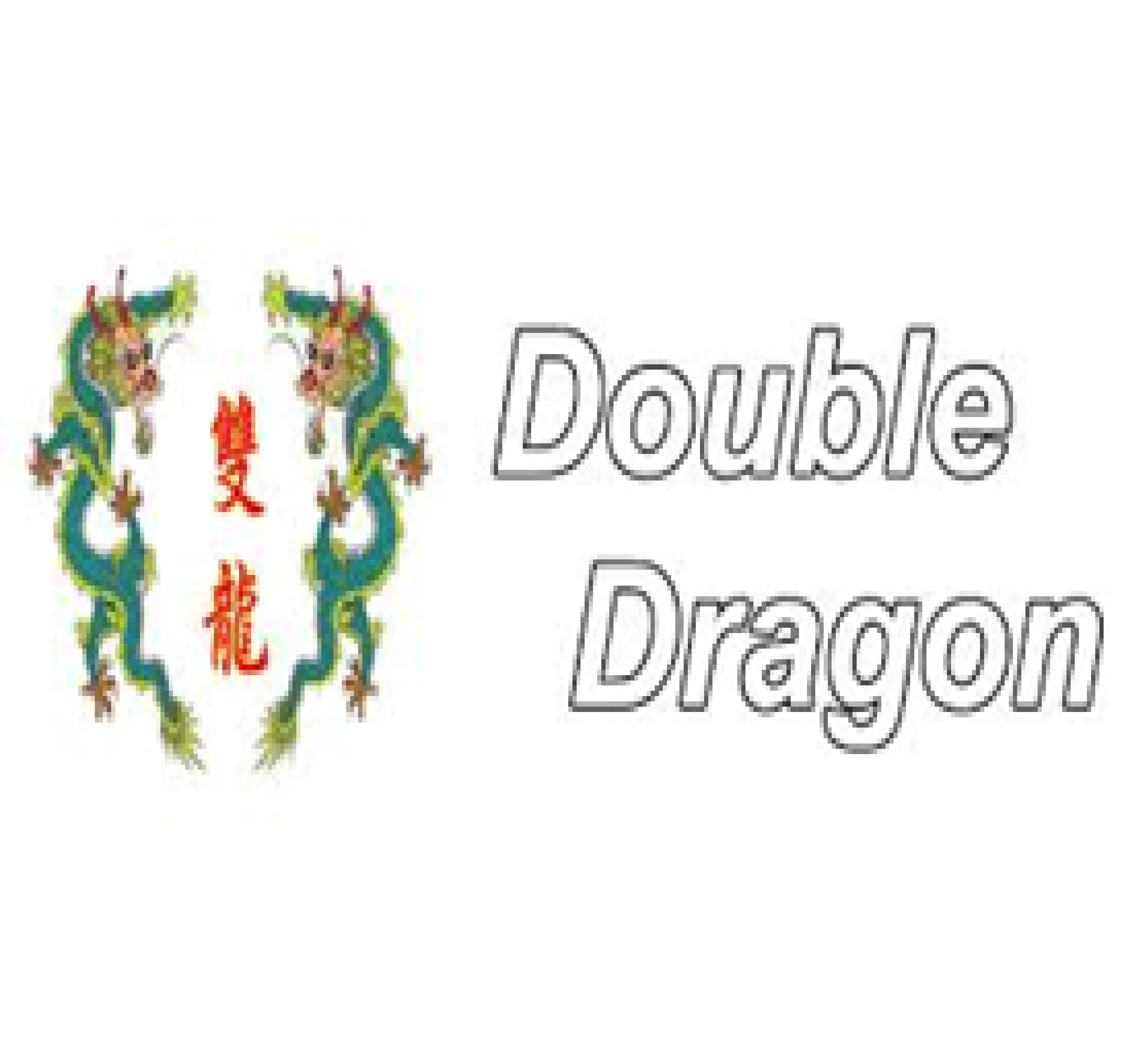 Double Dragon Avatar