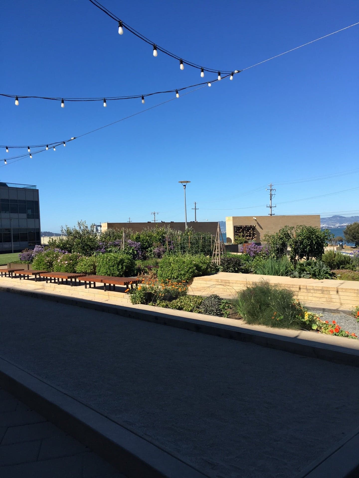 STEM Kitchen & Garden