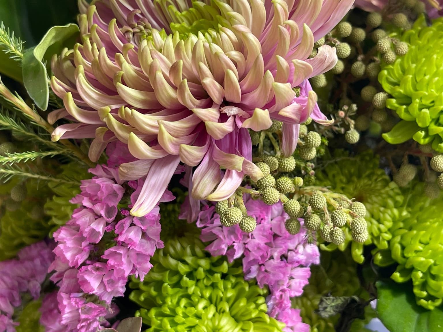 Sweet Adeline Bakeshop