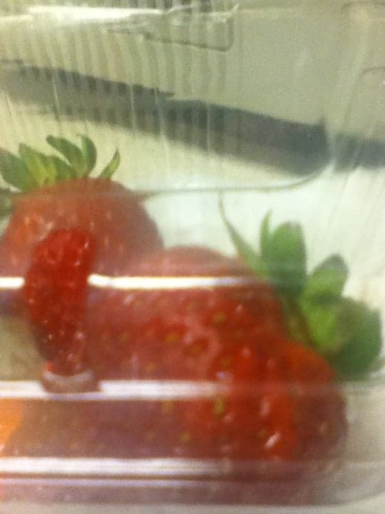 Bistro at the Commons