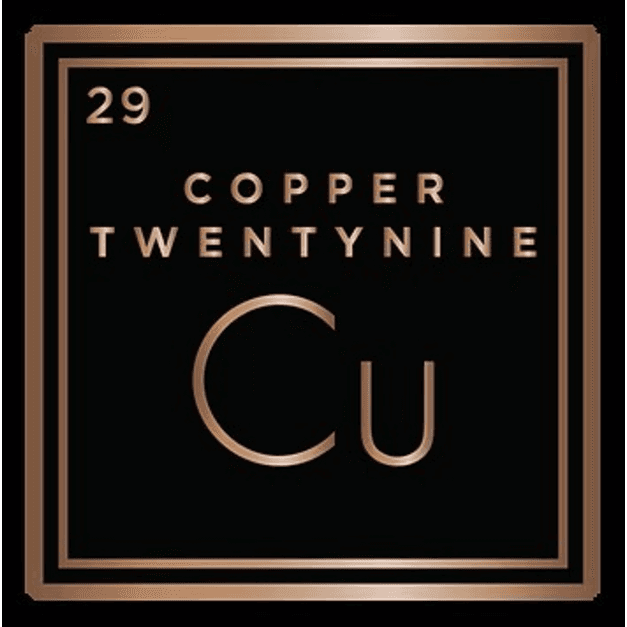 Copper 29 Bar Avatar