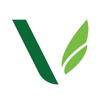 Buzz & Bustle Avatar