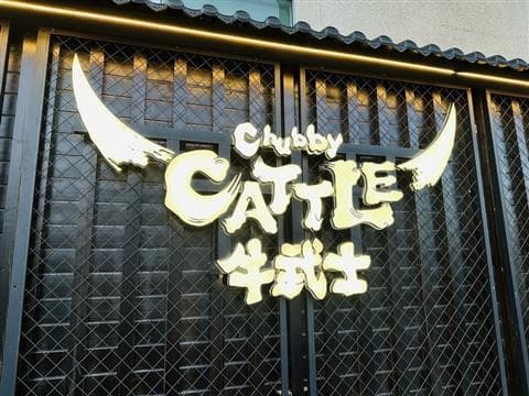 Chubby Cattle Avatar