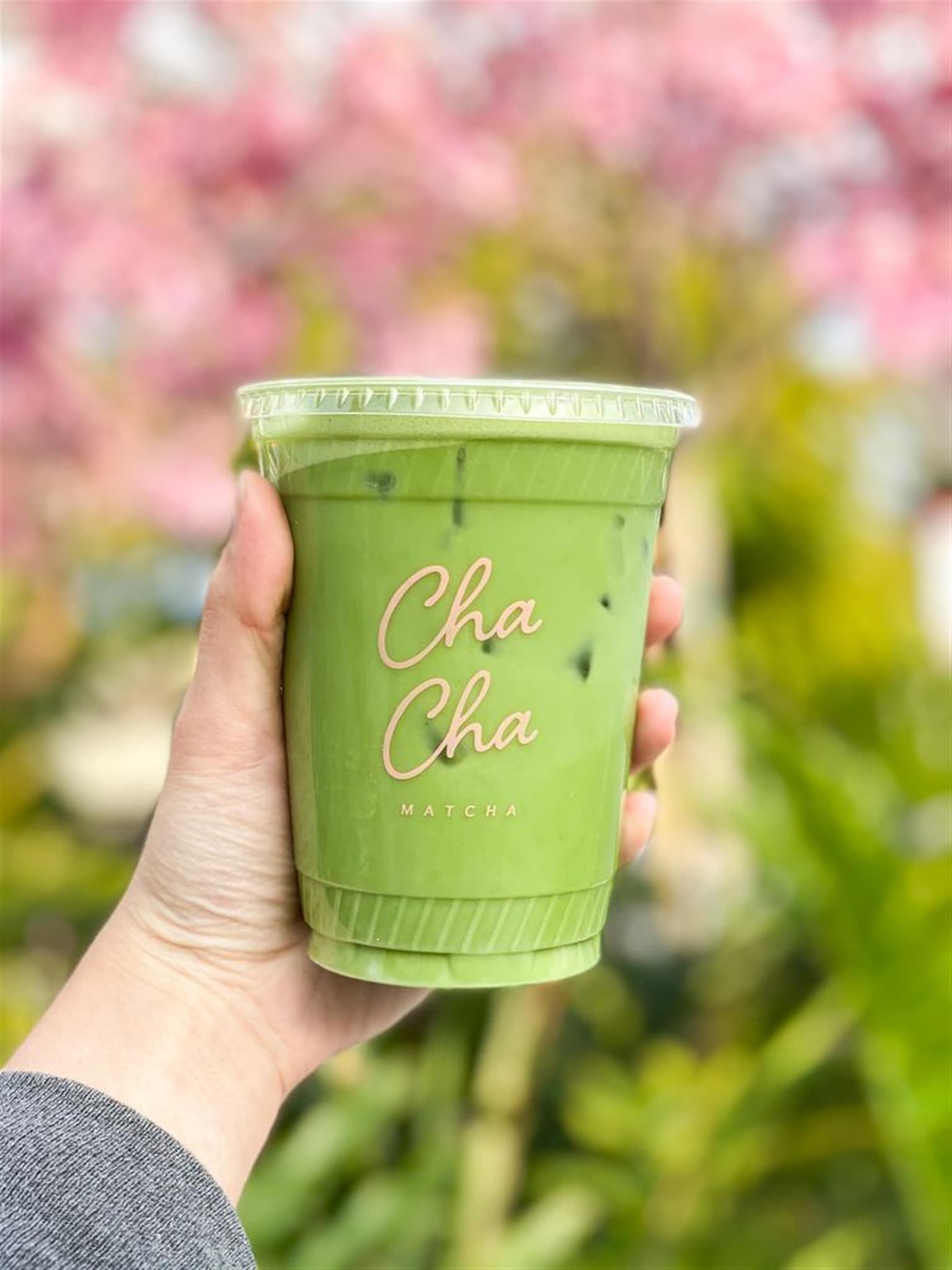 Cha Cha Matcha - Los Angeles