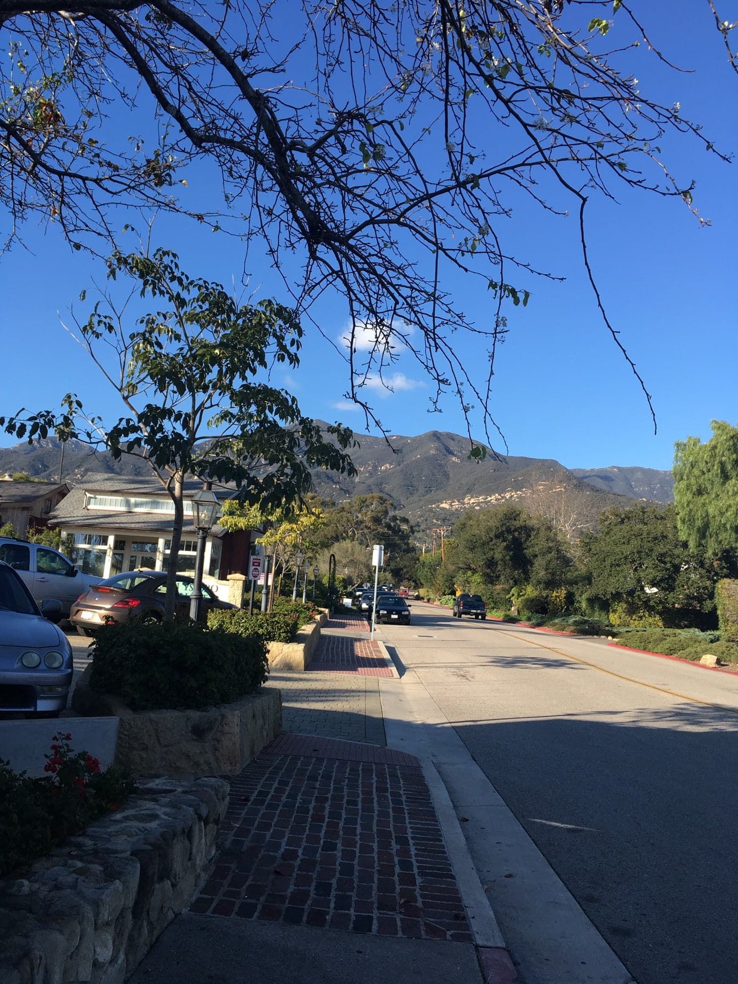 Montecito Coffee Shop