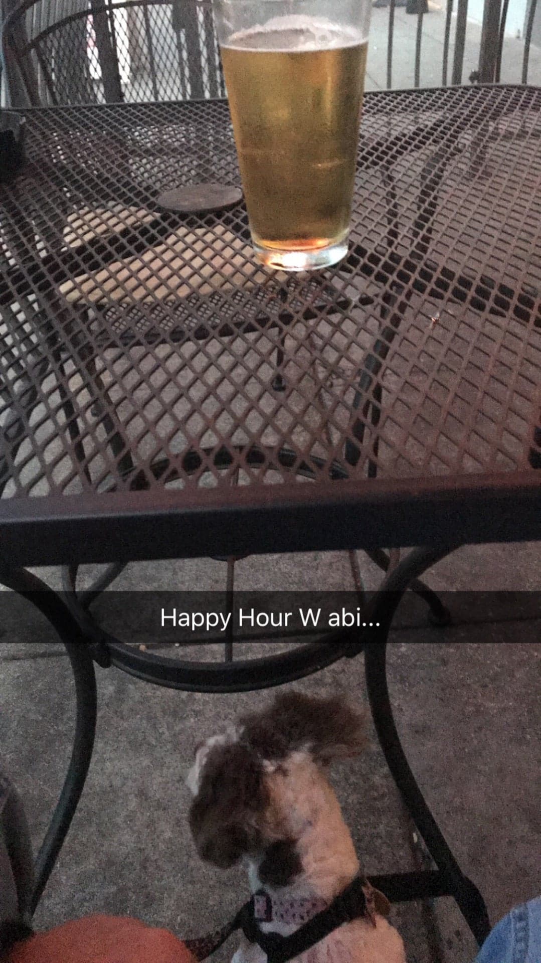 Charlie's Stars & Stripes