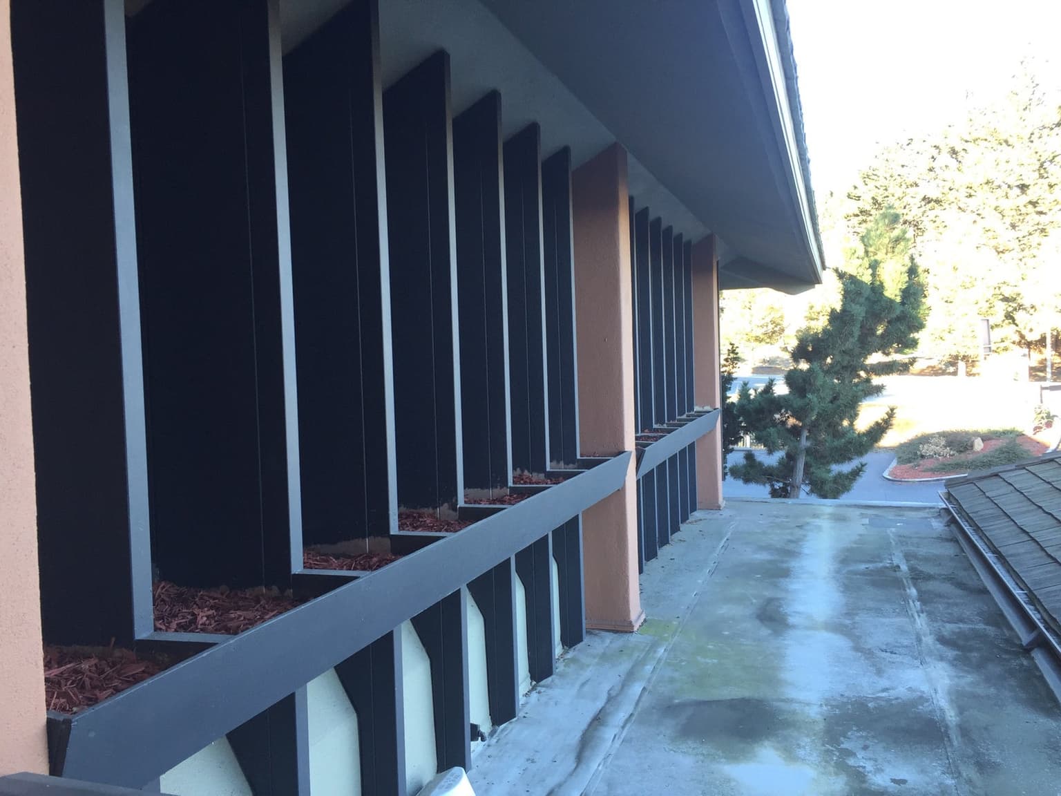 The Crazy Horse Restaurant