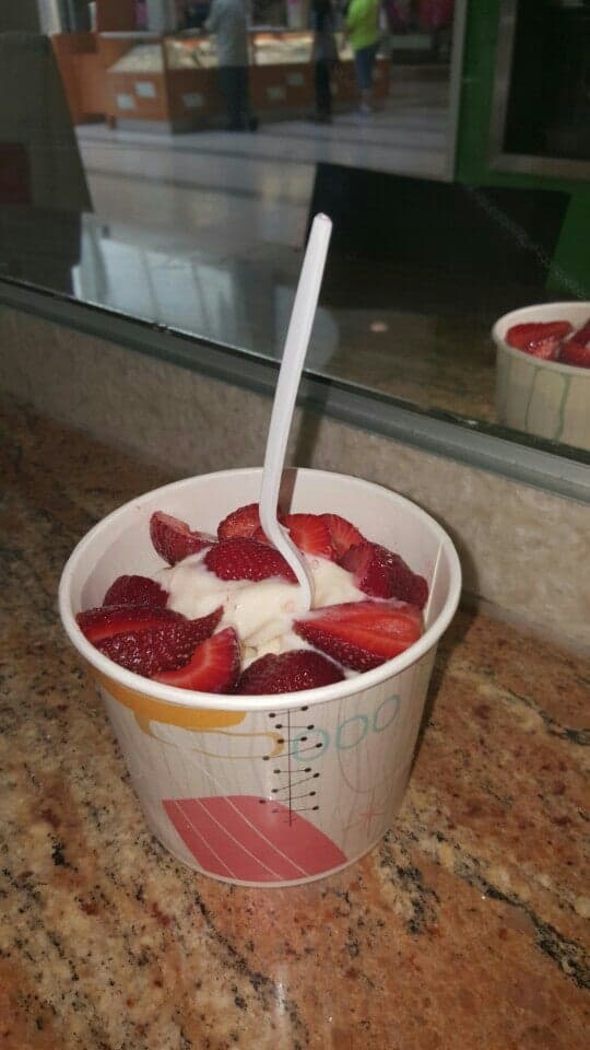 Orange Tree Frozen Yogurt