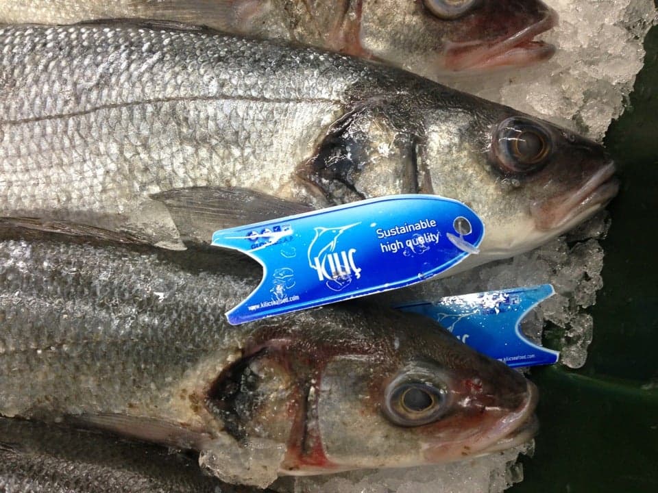 Monterey Fish