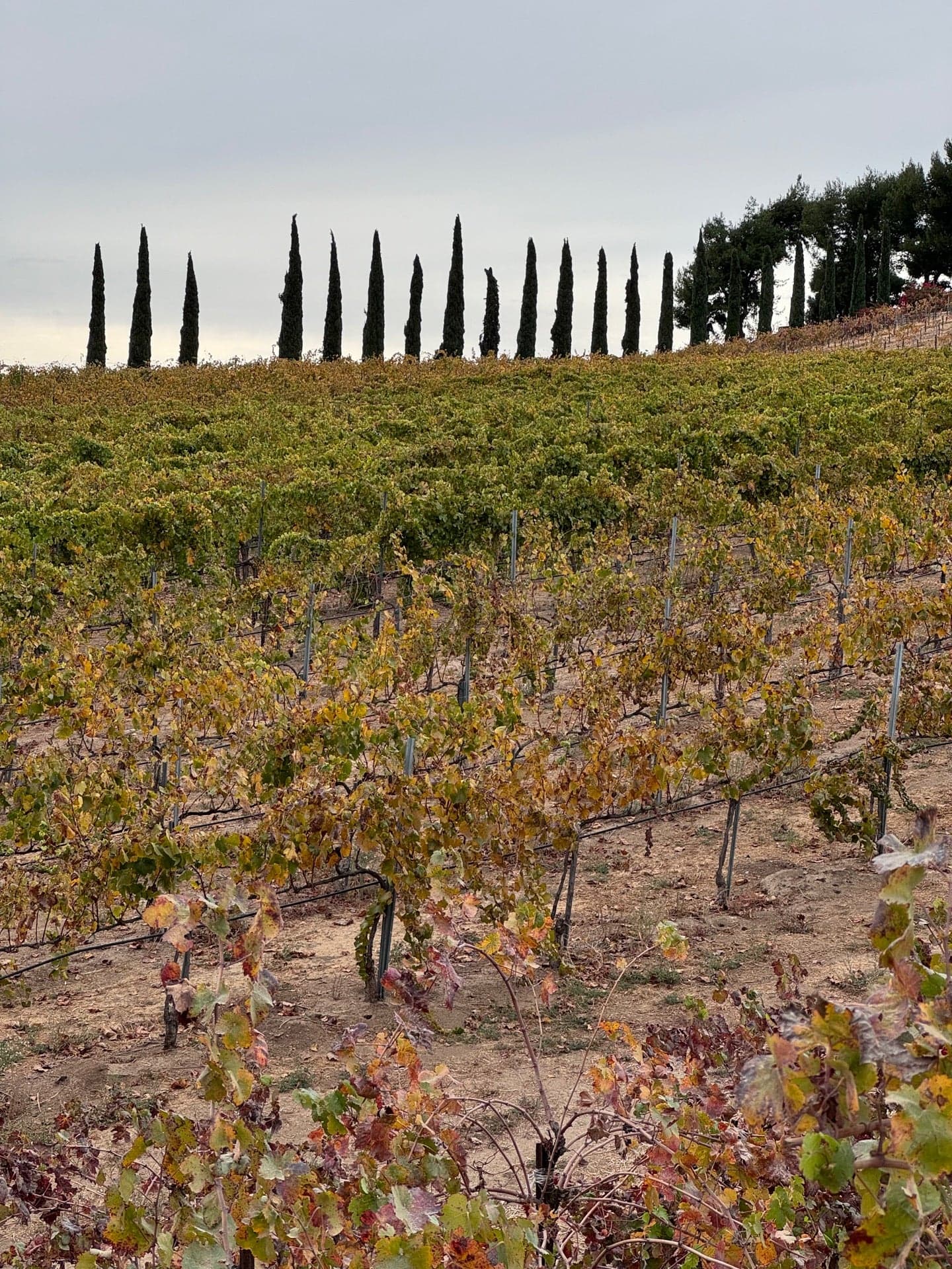 Devilicious Food Truck