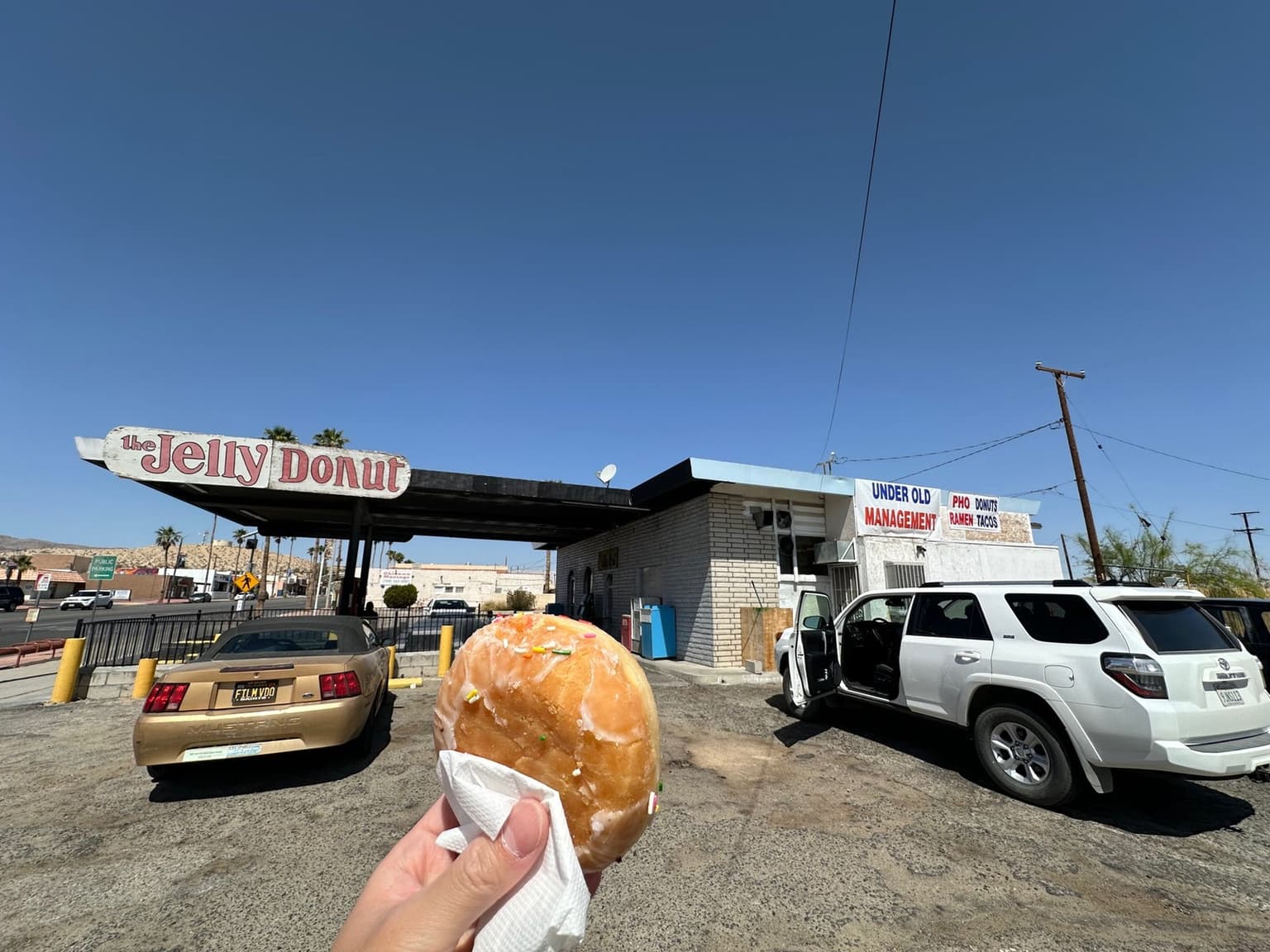 The Jelly Donut