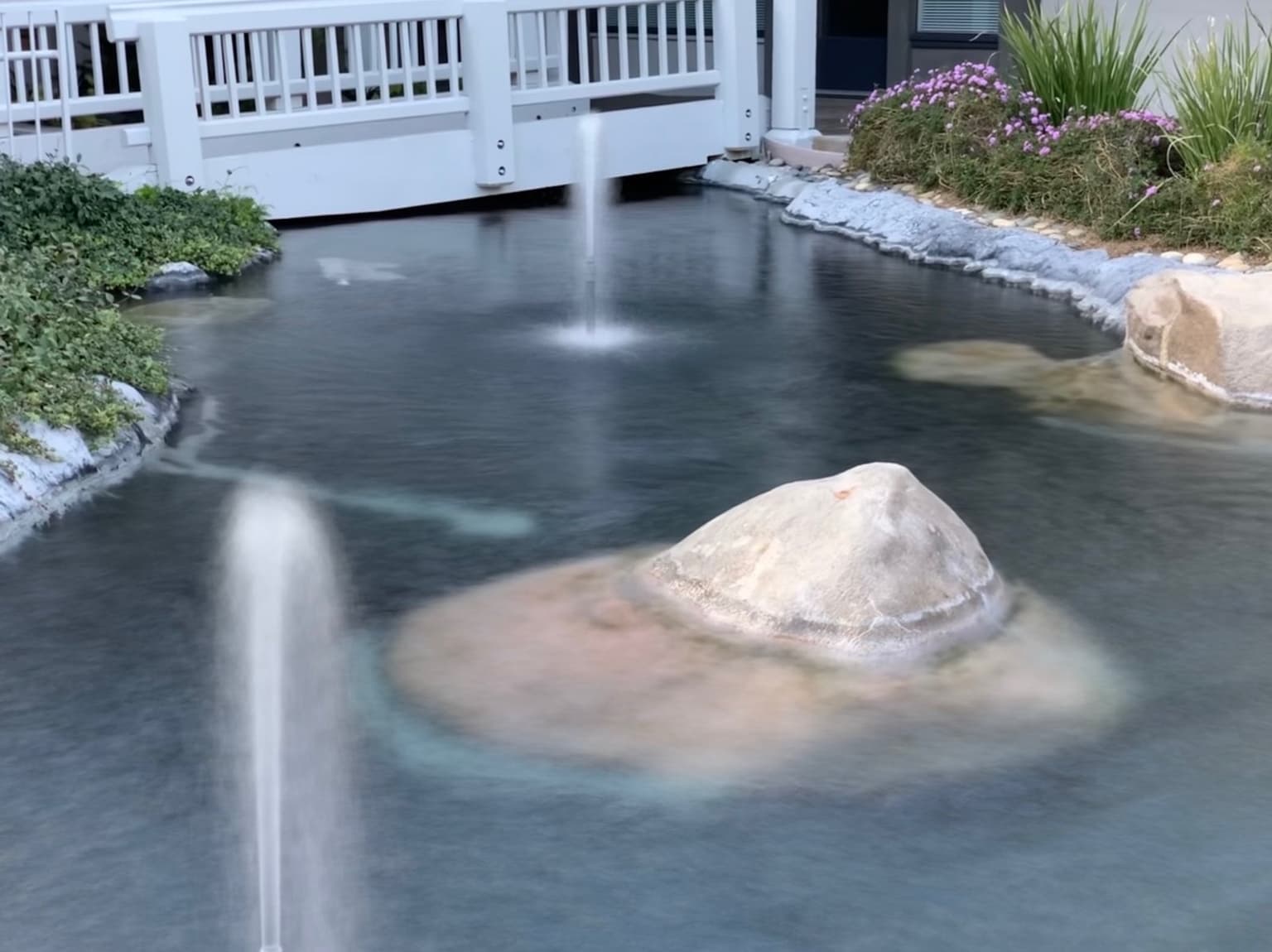 Pookie's Thai Westlake Cuisine