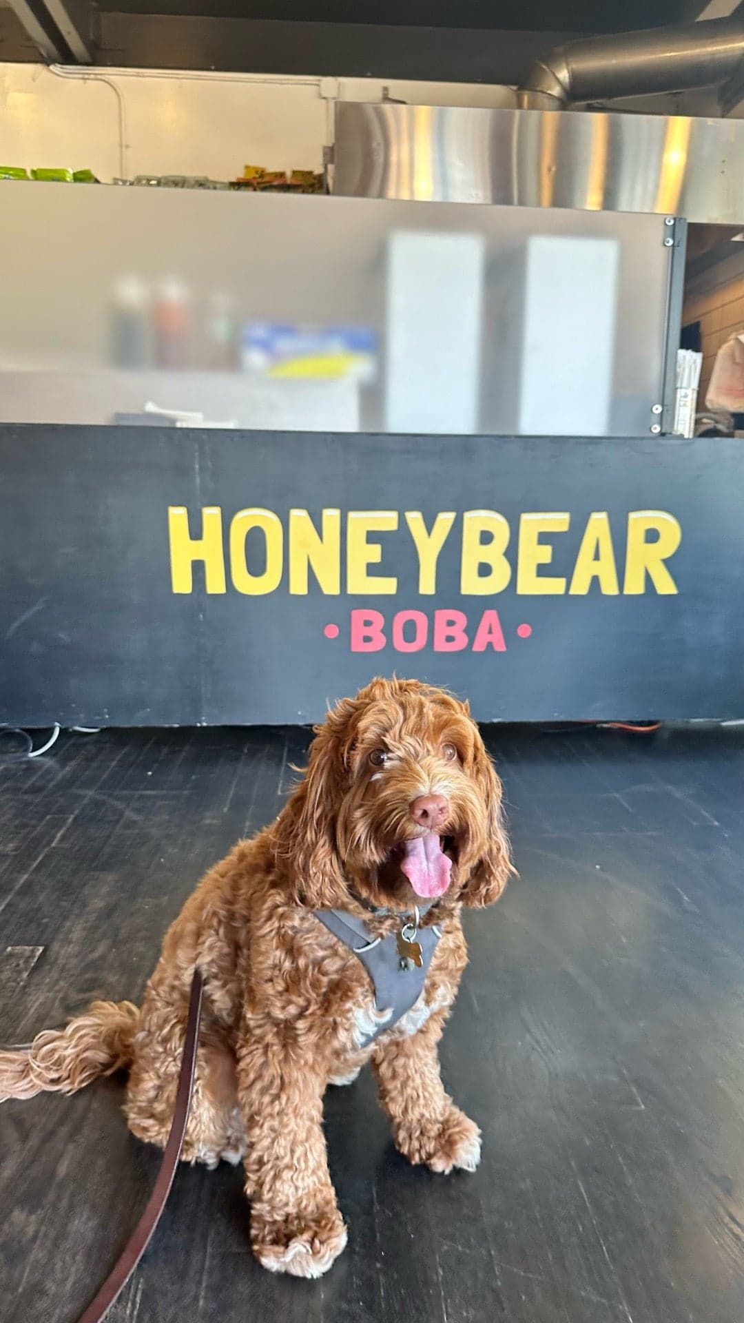 Honey Bear Boba