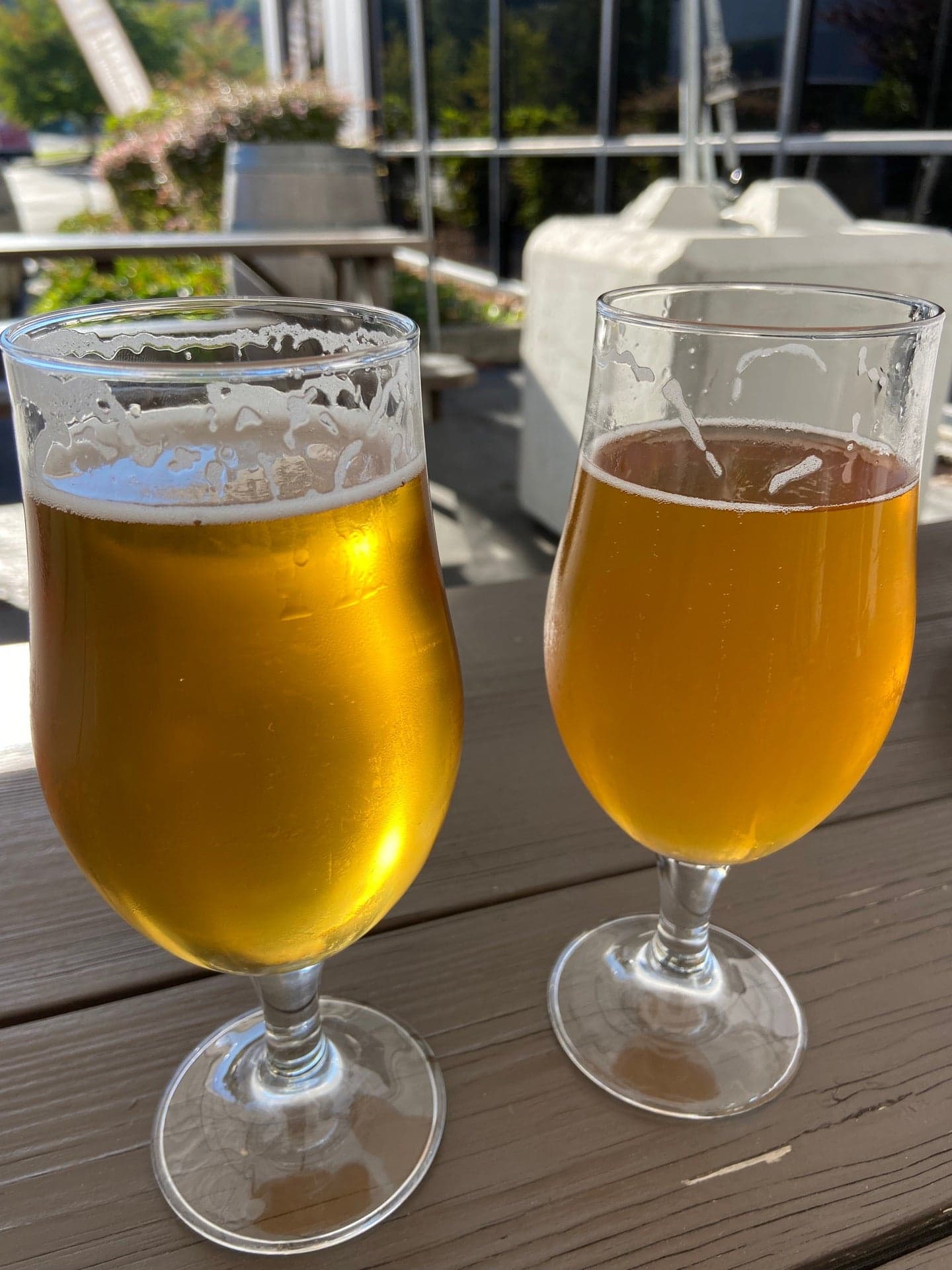 9323b691-92a9-46fa-a9ab-8e76738910fd