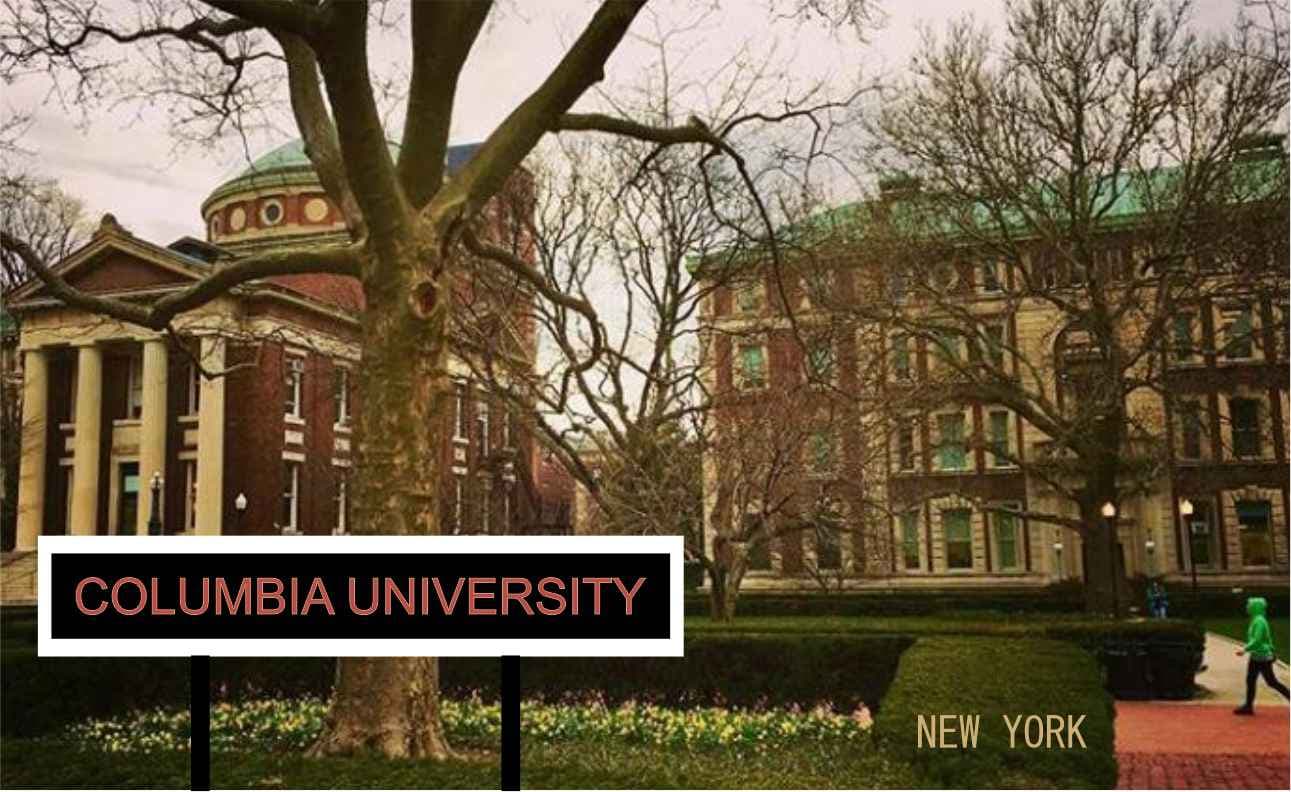 7fa8d3cf-66f9-4864-95e4-6b3a5b353ff2