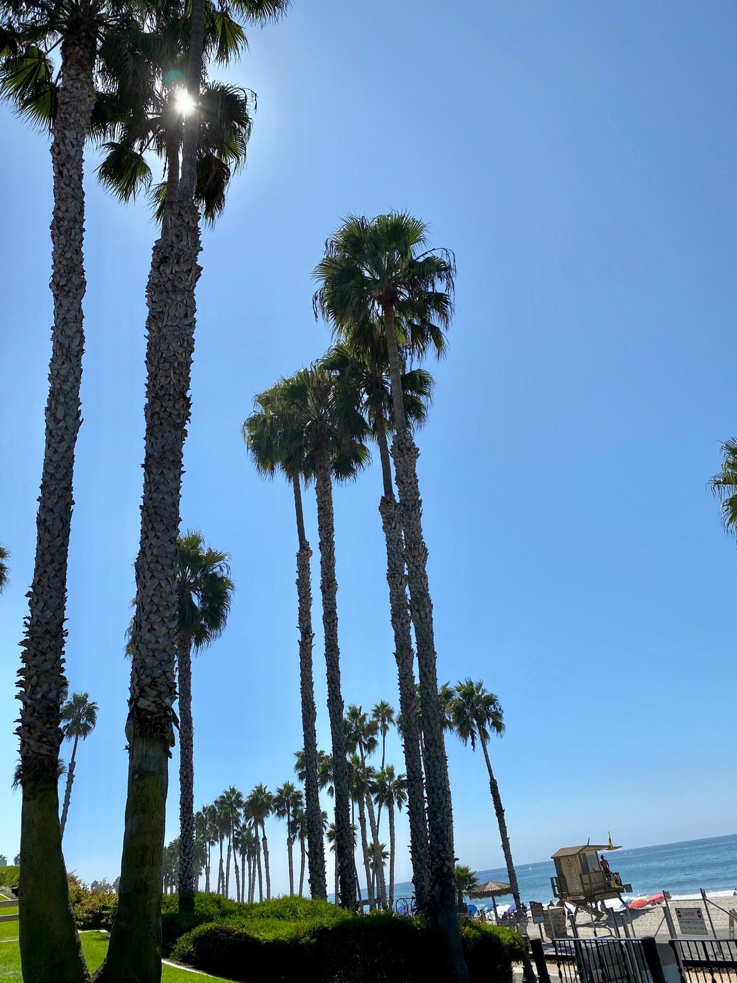 6a1b4e68-c448-499c-bdc6-5d2a98c71d7f