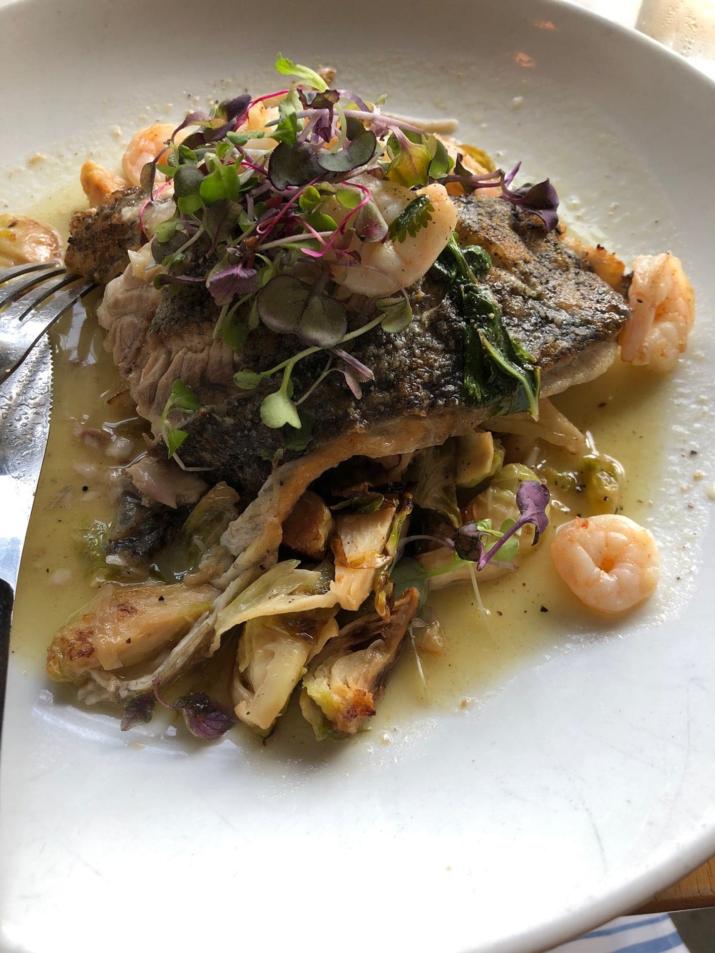 927aedd6-067e-453f-8ba1-8656a755899c