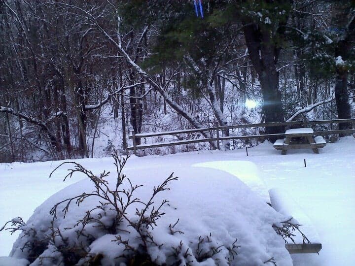 49697493-aefa-4f95-a43f-1ccaf448e113