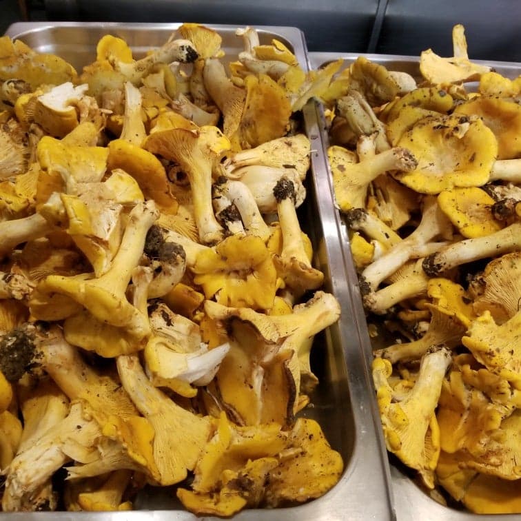 b2ea0538-70e8-4a4a-ba13-3a5873a41847