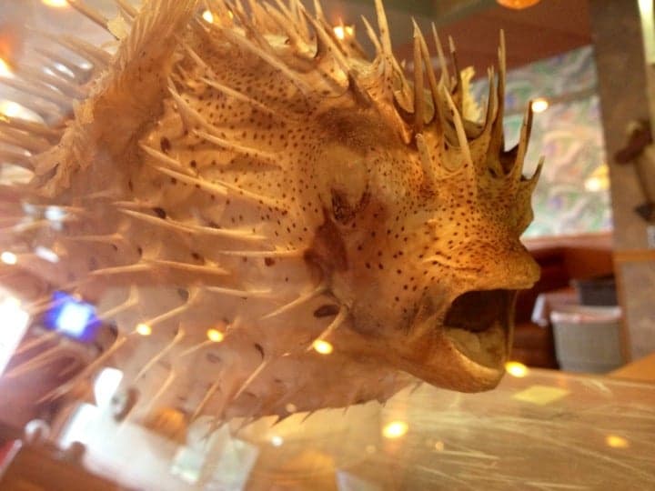 8e8befcd-7f5c-48a0-b141-338e67a6bca0