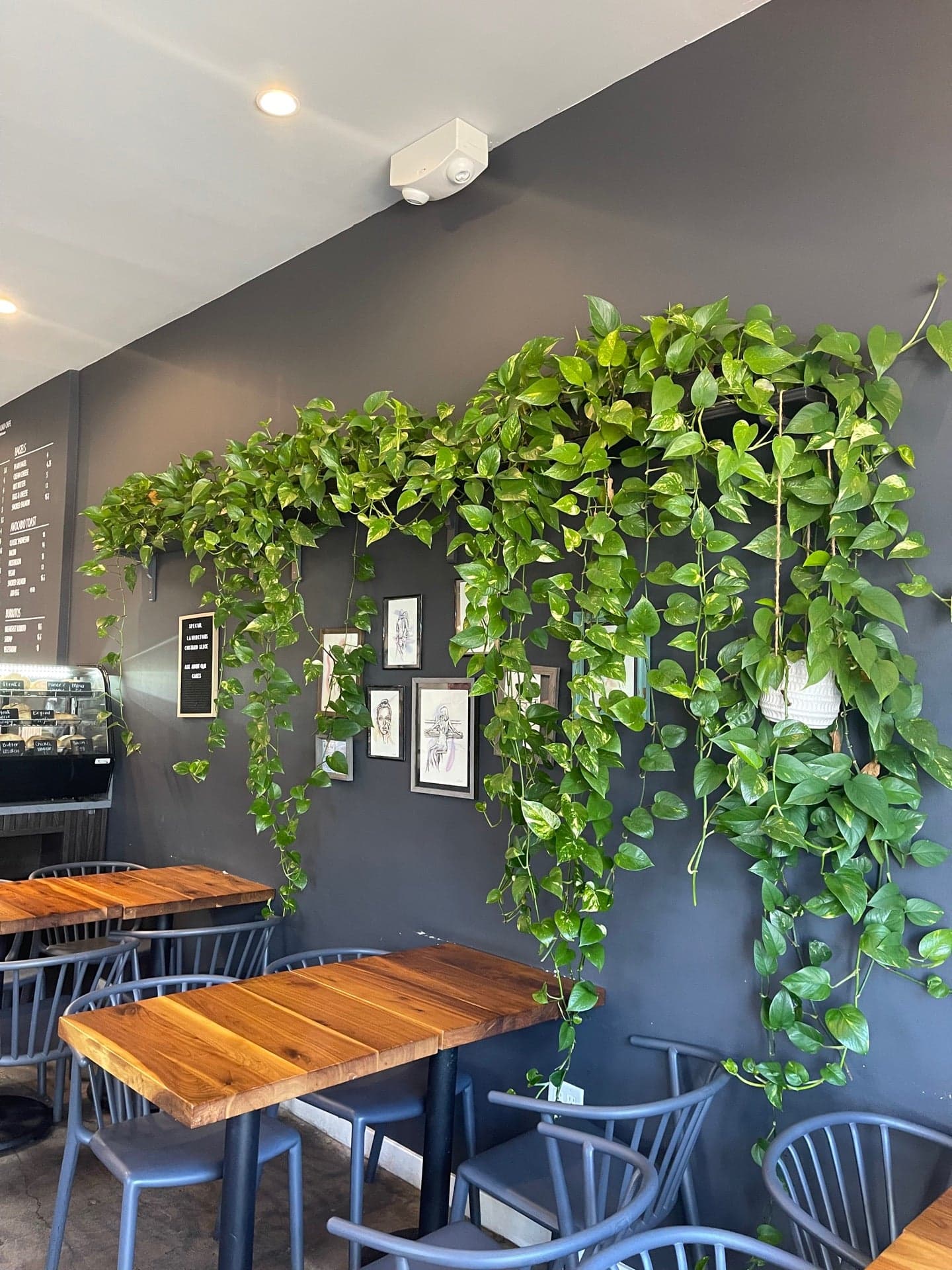 4a2b9703-c0c8-4ce0-8250-e3589e303915