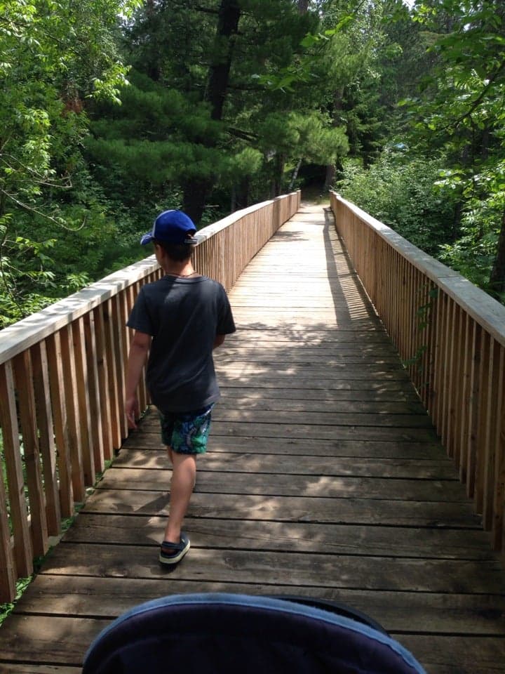 c3240d3b-1a57-4f3e-8196-41dab08ac39a