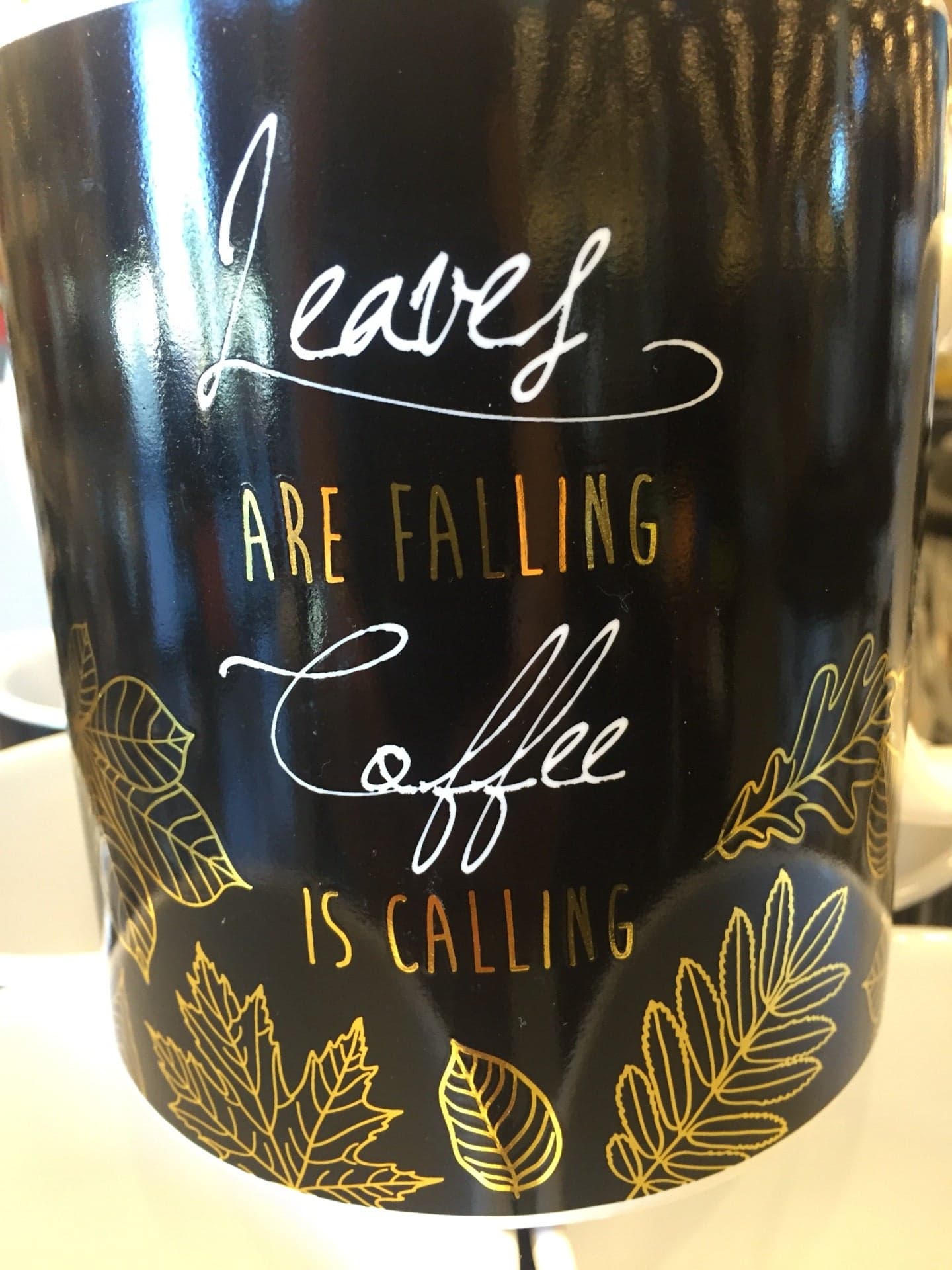 a20e5076-4ba1-4b2b-ae87-b43275d73852