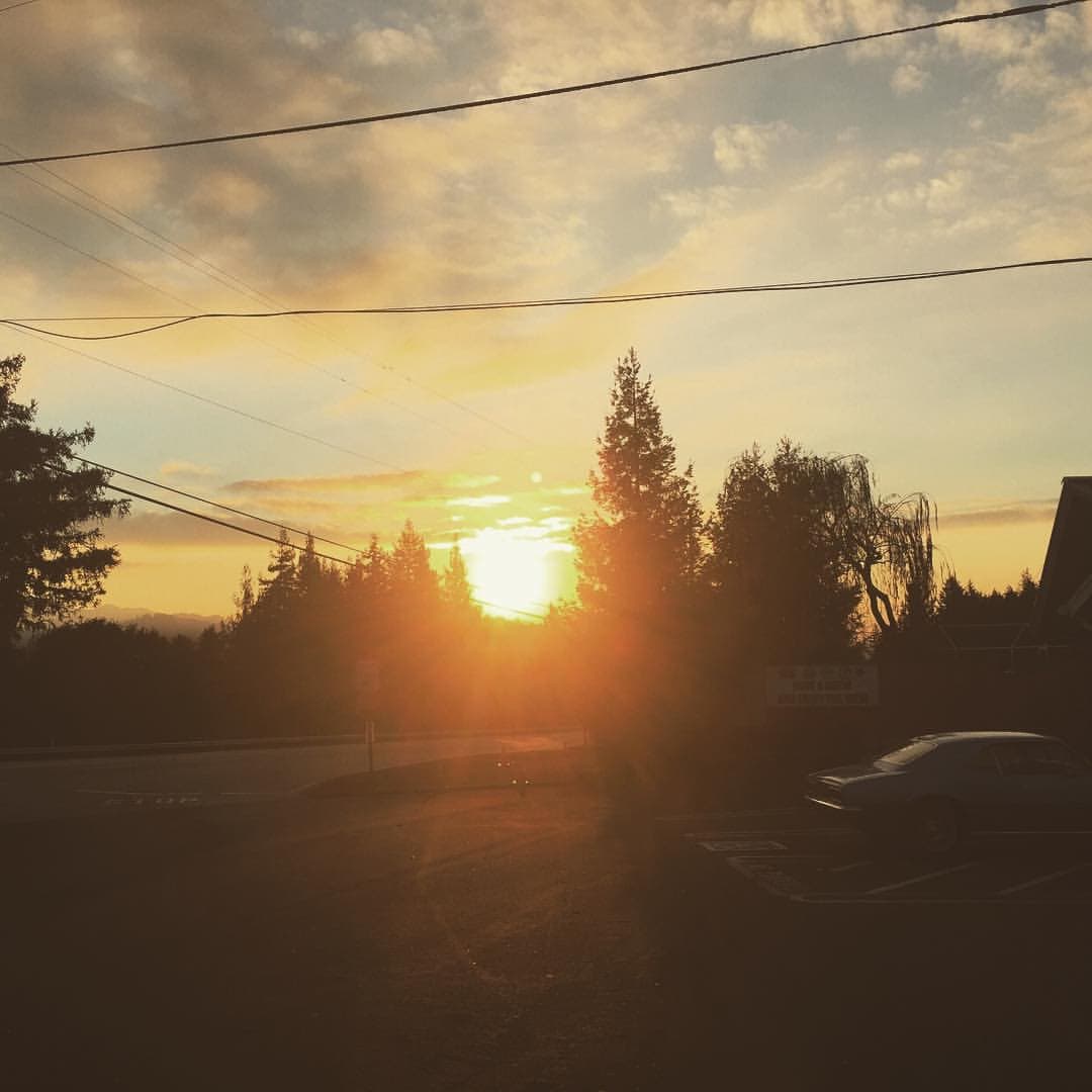 ce5551b3-b2c2-457b-9763-6734a8476cee