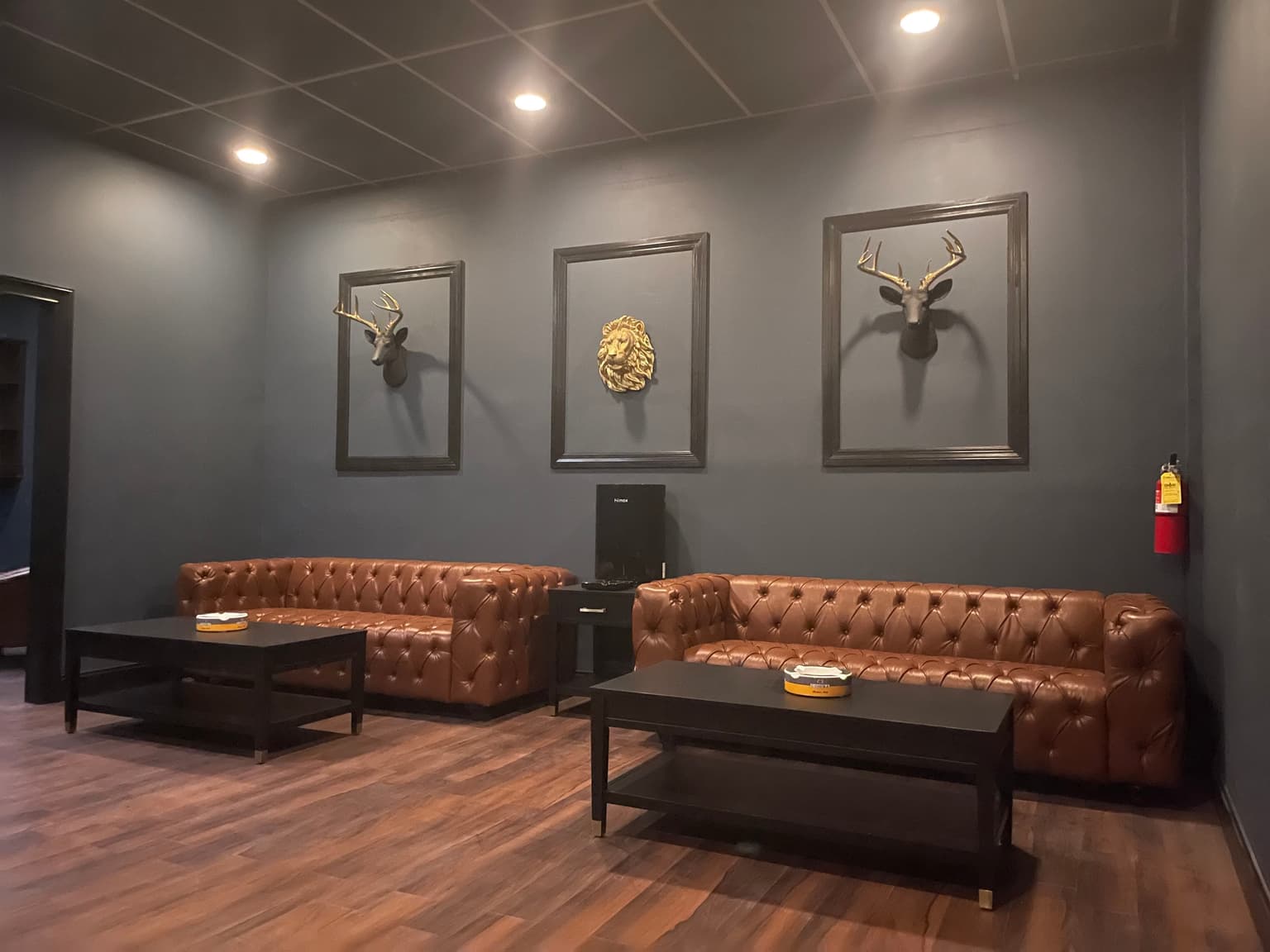 8a05172e-9aba-4764-96c5-e5ab069ac57e