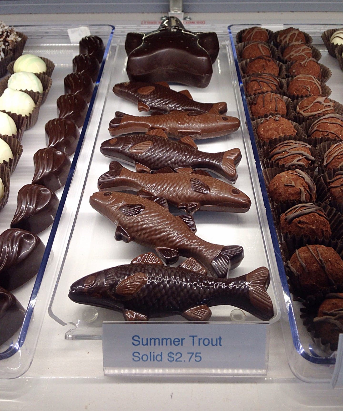 17c45e7f-57f7-4e24-b0f9-2c325f58dcd7