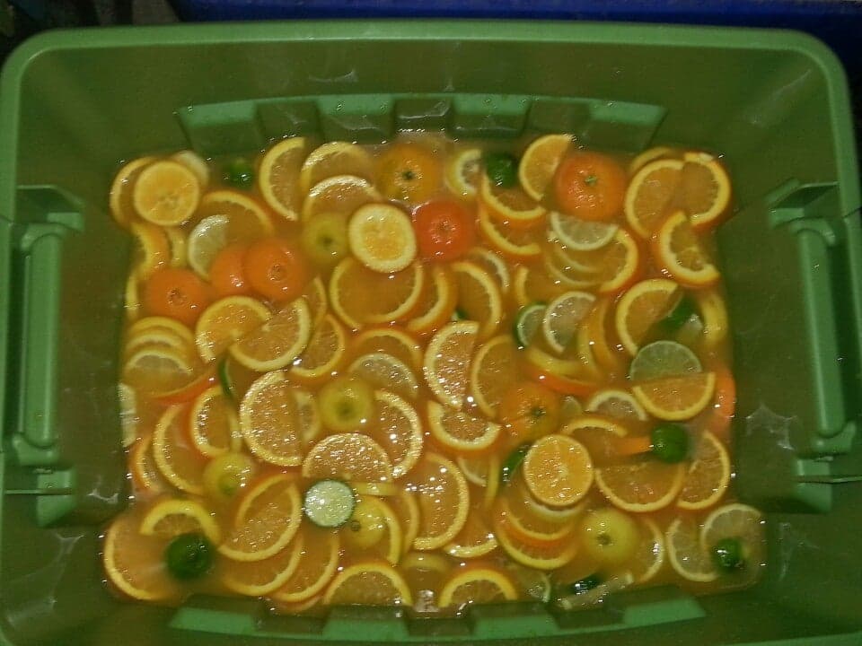 7dbd27c0-318a-4695-b123-a8aca2528f63