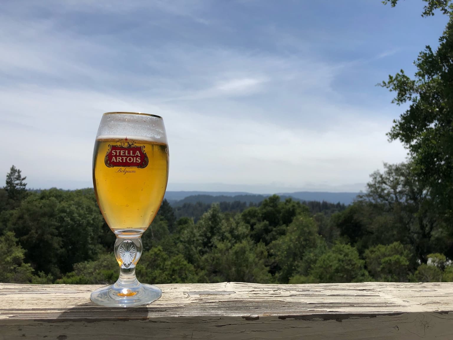 20597b79-dc72-4a71-b307-8f71da629721