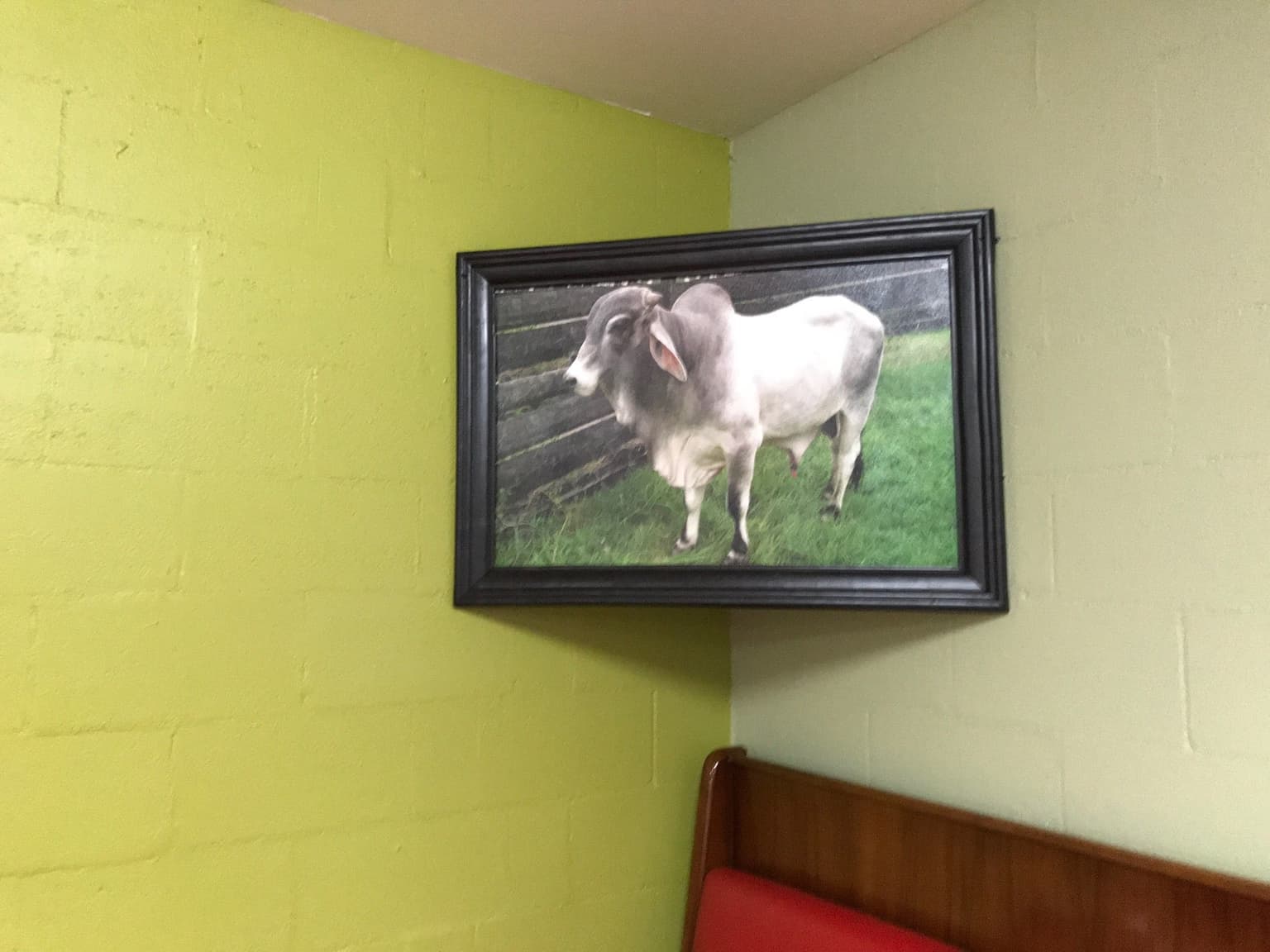 413af01b-7957-4331-9f15-1295cc19ec80