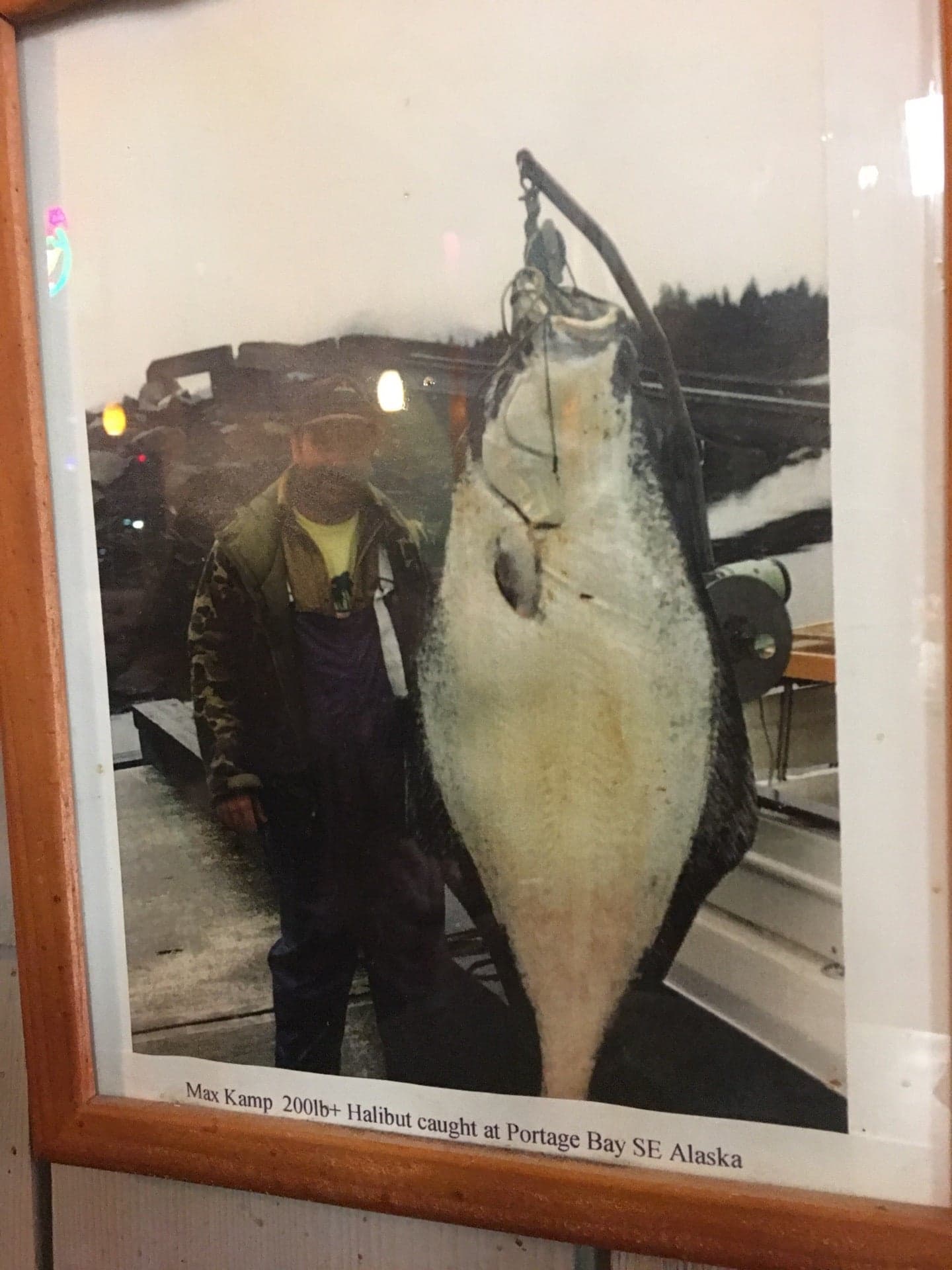 02db4174-470c-4b34-999e-1fbb62000f96