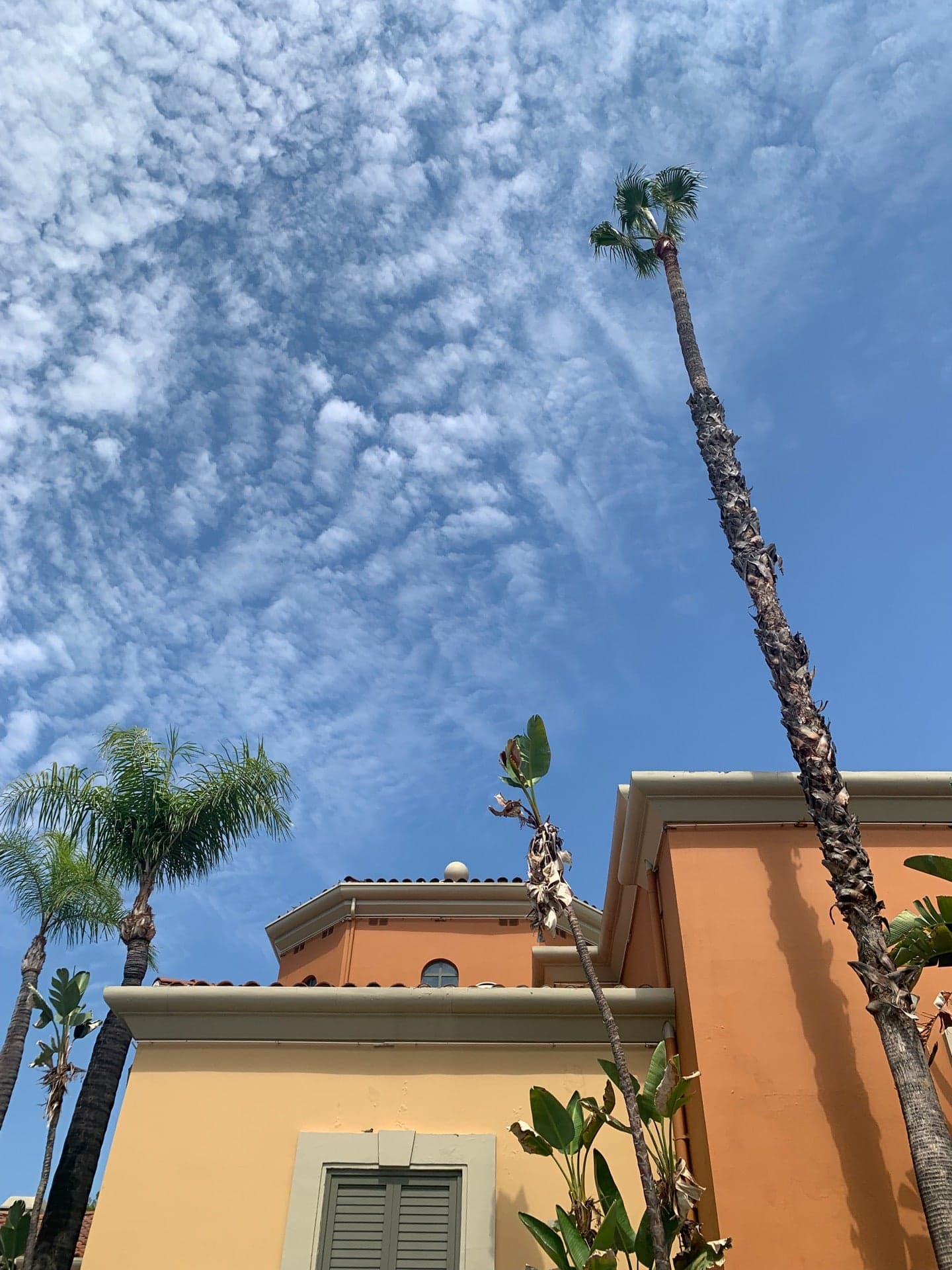 0b915a18-236a-4c71-b598-3ed6d36870cb