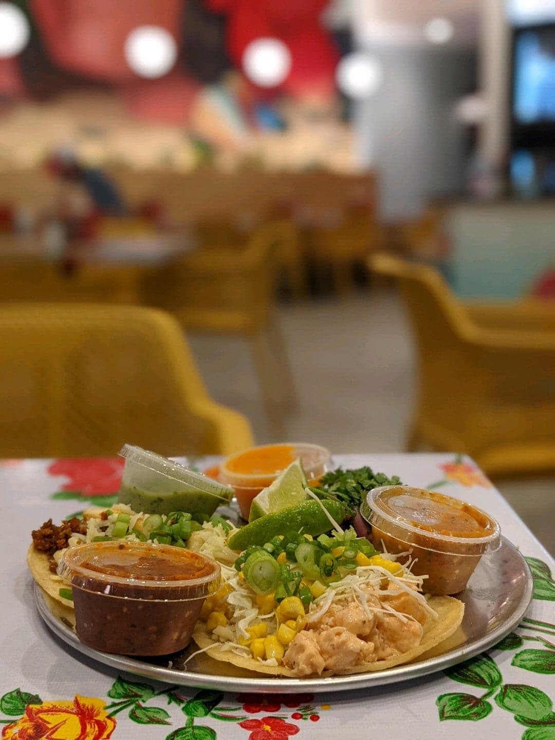 d48a892d-81bd-47c1-9ac3-a63d6bd9599f