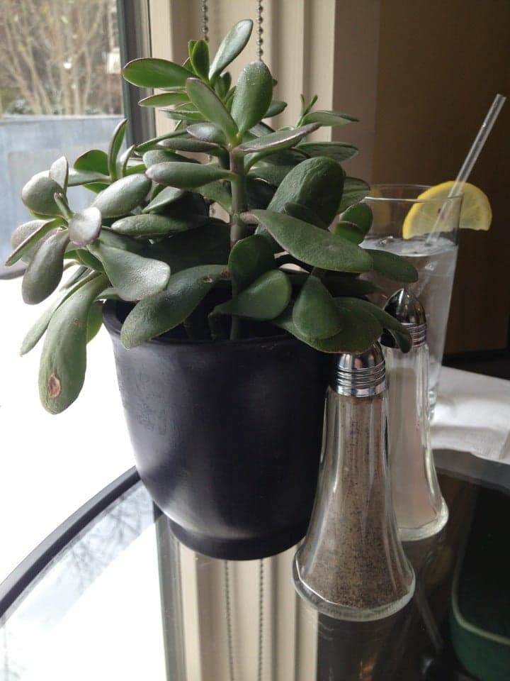 11fea415-b3be-4b6e-9a30-16e2cc626b77