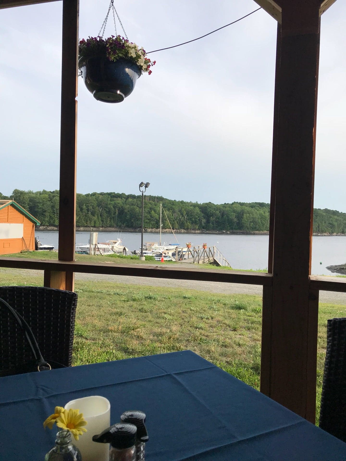 09c29478-5974-493b-87c0-5932aea40d3c