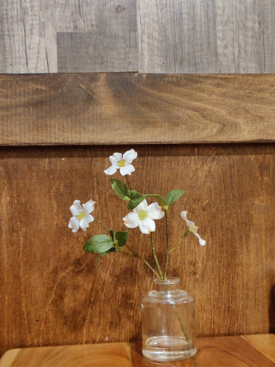 2509a3b3-c6a3-498a-8ad8-bc10a6203600