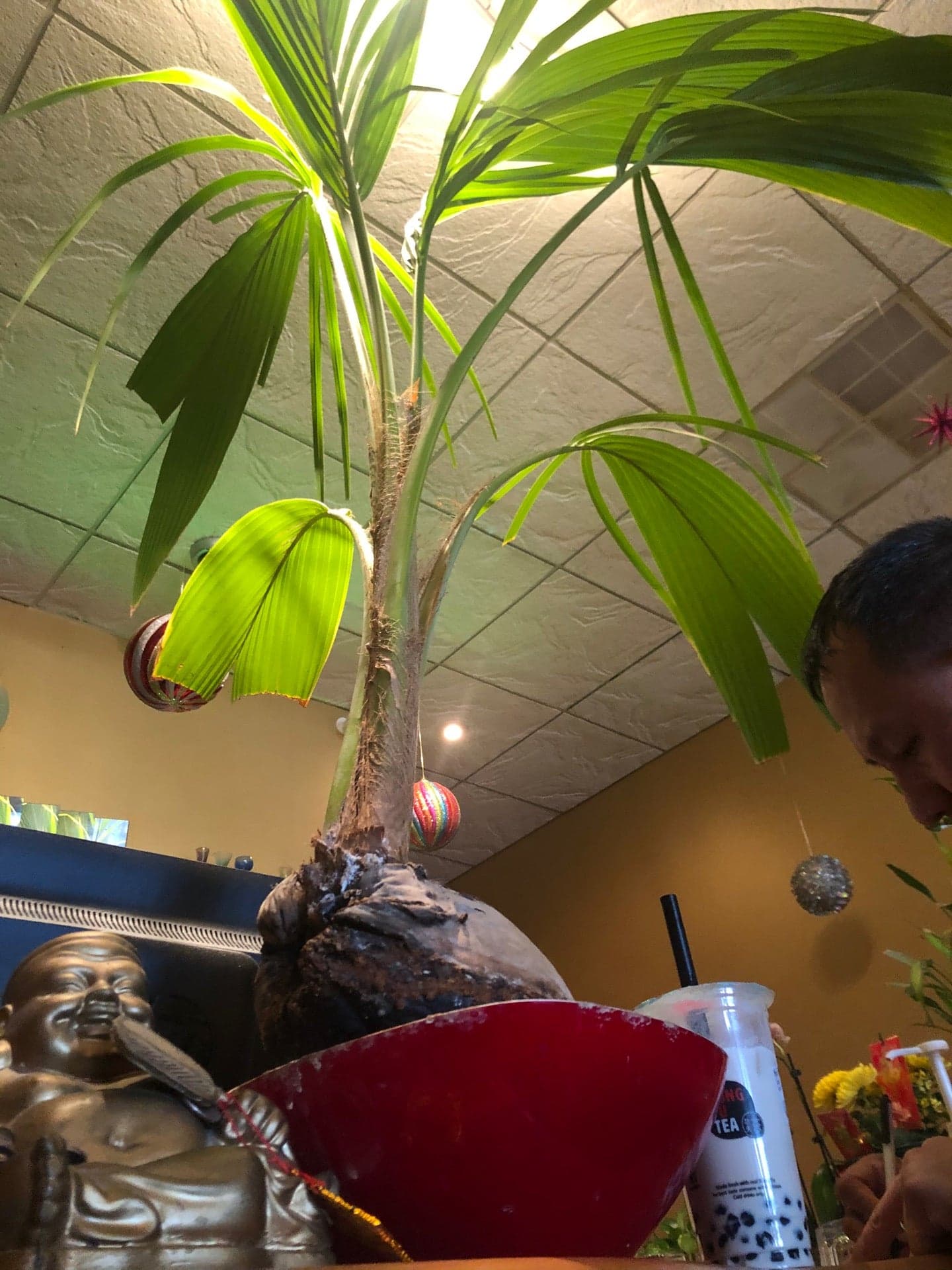 c3ae5e10-b4a5-418a-be8d-ea74636a0fba