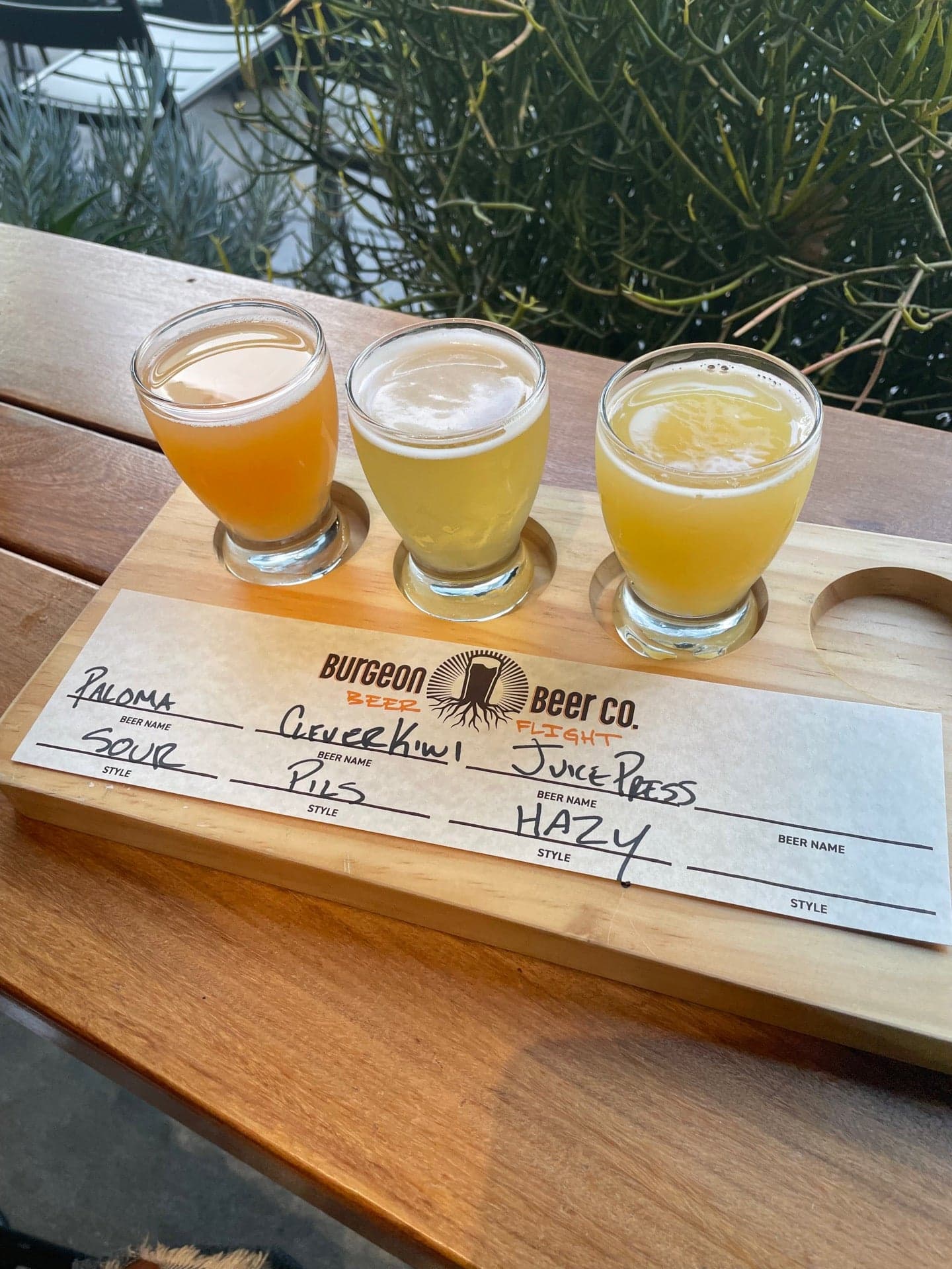 808e999a-6c87-48a0-b5a3-388dbba4d961