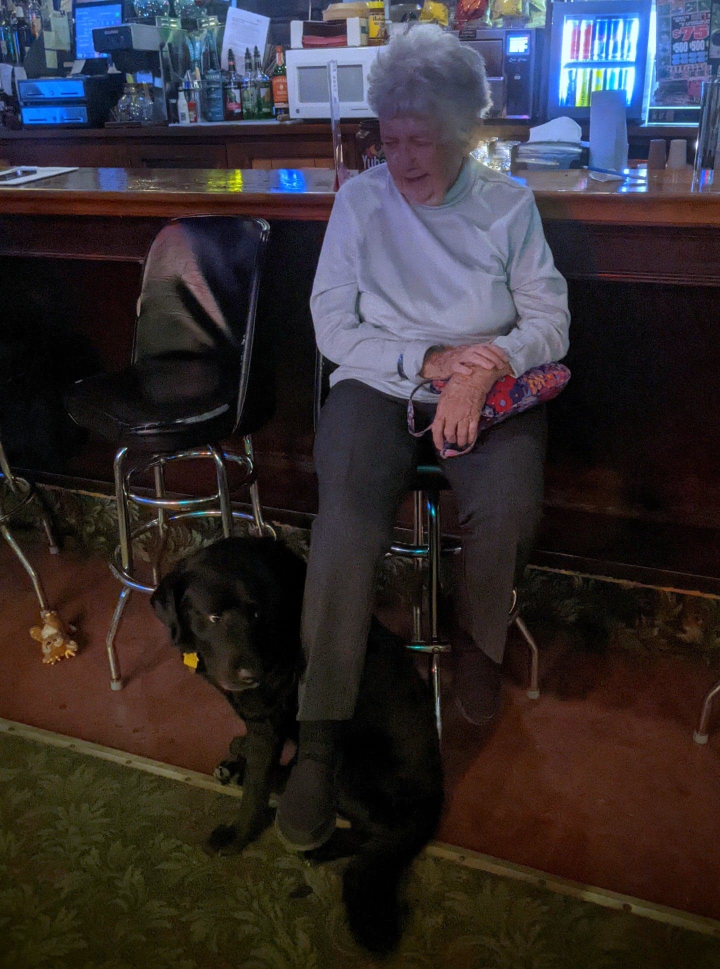 d776c92c-0b17-4fe2-a17b-3a5c5d66f91c